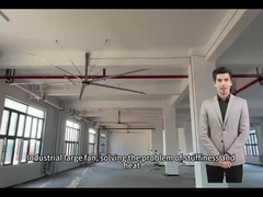 5.0M 16FT Большие вентиляторы для оптимальной циркуляции воздуха в школах и гимназиях