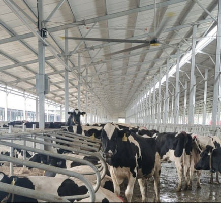 Хорошая цена. Универсальный гигантский потолочный вентилятор потолочных вентиляторов 380V 220V 1.5KW энергосберегающий онлайн